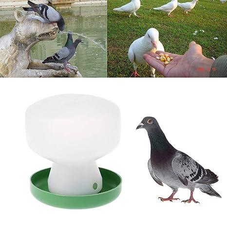 Plastic Pigeon Feeder Chicken Drinking Bird Quail Poultry