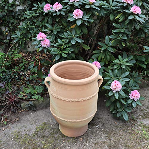 Palatina-Keramik | Terracotta Amphore | 50 cm | Pflanzkübel, Pflanzgefäß, Balkon, Garten, Terrasse Thymus 2 – Bild 5