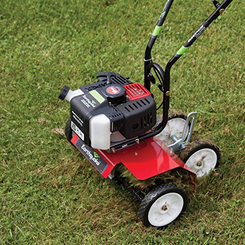 Earthquake DK43 Dethatcher Attachment Kit for Cultivators