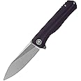 Petrified fish G10 handle D2 steel blade 2CR13 liner ball bearing flipper folding knife camping hunting EDC pocket tool PF818 (Purple, Stonewash)