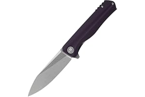 Petrified fish G10 handle D2 steel blade 2CR13 liner ball bearing flipper folding knife camping hunting EDC pocket tool PF818 (Purple, Stonewash)