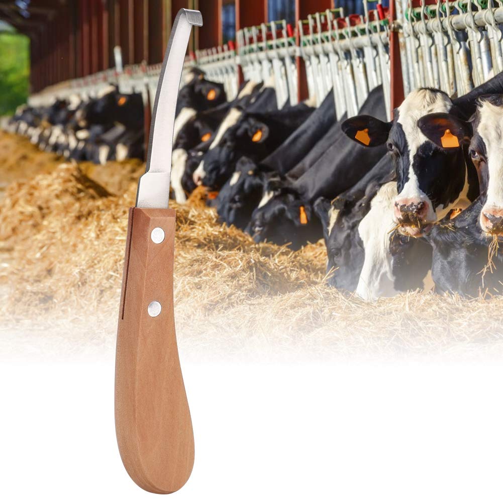 QITERSTAR Hoof Trimming, Sharper High Strength Carbon Steel Hoof Knife for Sheep's Hoof for Trim Horse Hoof for Horseshoe(Straight right hand, 12)