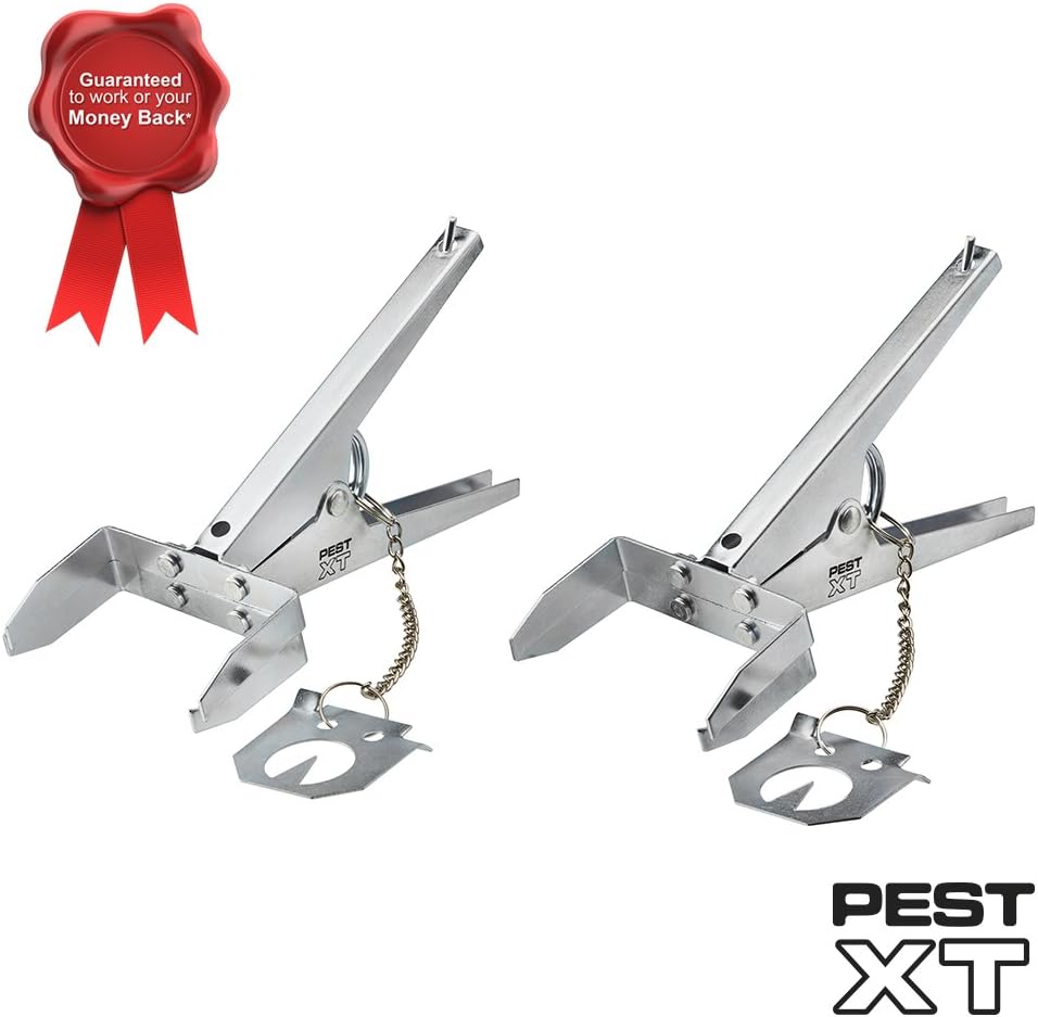 Galvanised Steel Mole Claw Catch and Kill Traps, Chemical & Poison Free, Scissor Mole Vole Repeller & Deterrent Trap, Weatherproof & Reusable(Pack of 2)
