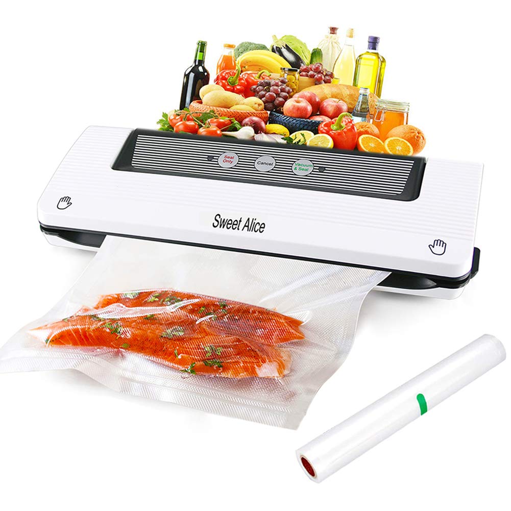 Best portable vacuum sealer for food