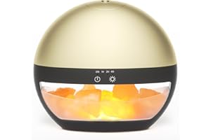 SALUBRITO 2-in-1 Ultrasonic Essential Oil Diffuser & Himalayan Salt Lamp, 100ml Aromatherapy Diffuser, Cool Mist Humidifier with Timer, 100% Pure Himalayan Salt, Auto Shut-Off, Ambient Glow (Gold)