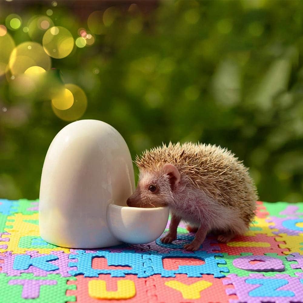 automatic hedgehog feeder