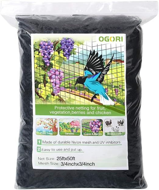 DGCUS - Red de Malla para Pájaros de Aves de Corral de Fruta, 3/4 ...
