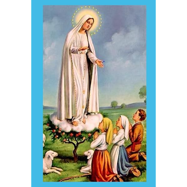 Vision of Fatima: Fr. Thomas McGlynn: 9781622824007: Amazon.com: Books