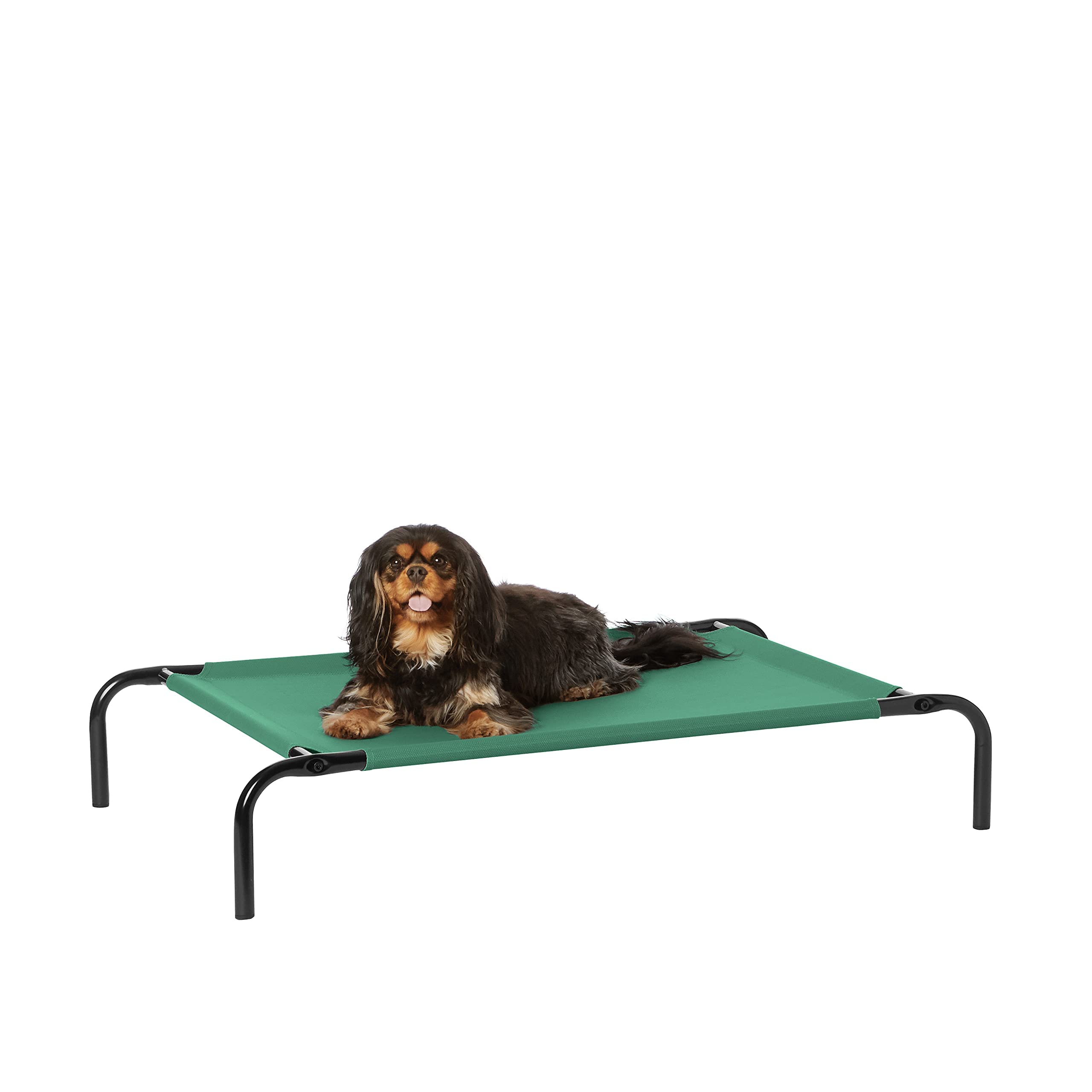 Amazon Basics Raised Dog Bed, Cooling Breathable Elevated Pet Bed, S, Green, 90 x 55 x 19 cm (L x W x H)