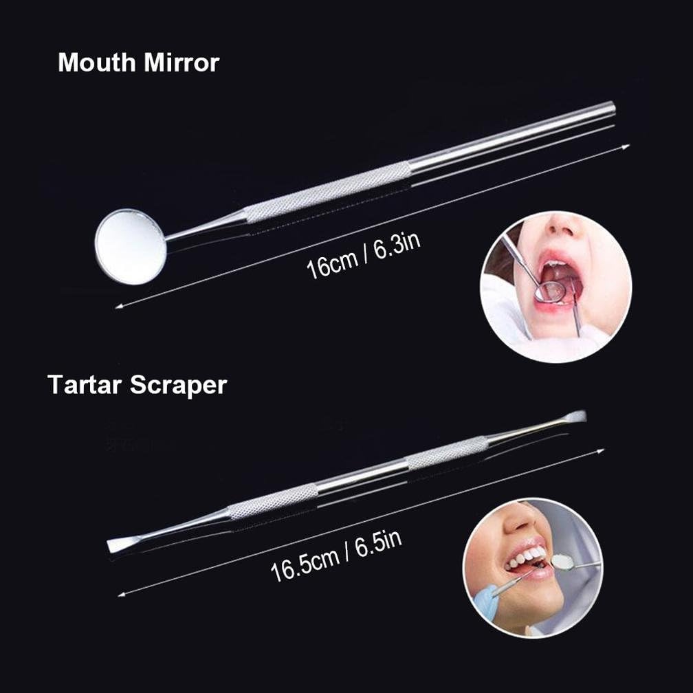 STTEFGB Dental Clean Tool Set - 304 Stainless Steel Packing Box Tartar Scraper,Tooth Pick,Dental Scaler,Mouth Mirror for Dentist and Home Using 5 Pieces/sets: Health & Personal Care
