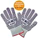 Grill Gloves Heat Resistant Extreme BBQ Gloves Oven Gloves Rated to 932f - Ideal Grilling Gloves by Grill Master (Black)