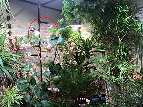 Amazon Com Led Plant Grow Light Sun 18w E26 Lightbulb Garden Foliage Plant Industrial Scientific