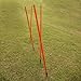 Cougar Spring Loaded Slalom Poles 5' Agility Speed Multi Sport Training (Set of 8 Poles)