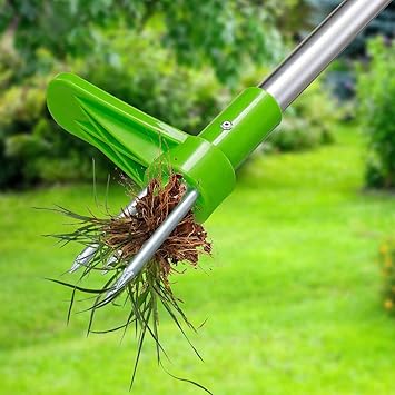 Amazon Co Jp 長い柄の庭の根の除去剤 軽い芝生および庭の道具 スポーツ アウトドア