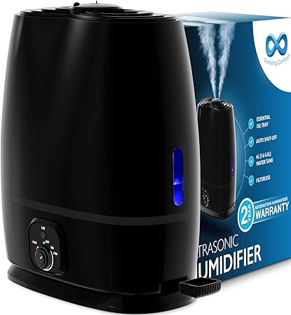 Everlasting Comfort Cool Mist Humidifier