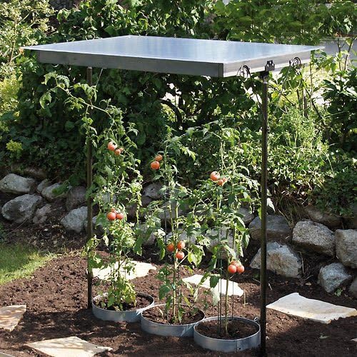 Gartenwelt Riegelsberger Bellissa 90450 Techo para plantas y ...