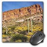 3D Rose"USA Arizona Apache Trail Tonto Nf