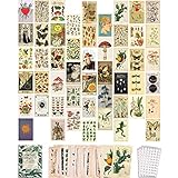 50PCS Vintage Botanical Illustration Tarot