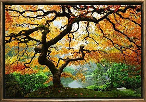 Startonight Luxury Framed Art Bronze Maple Dual View Surprise 19.69 Inch By 27.56 Inch Trees Collection Wall Art