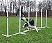 Affordable Agility Fixed 6 Pole Weave Set