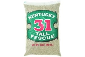 Barenbrug Tall Fescue Grass Seed 5 lb.