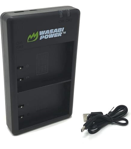 Amazon.com: Wasabi Power Battery (2-Pack) for Panasonic DMW-BLK22