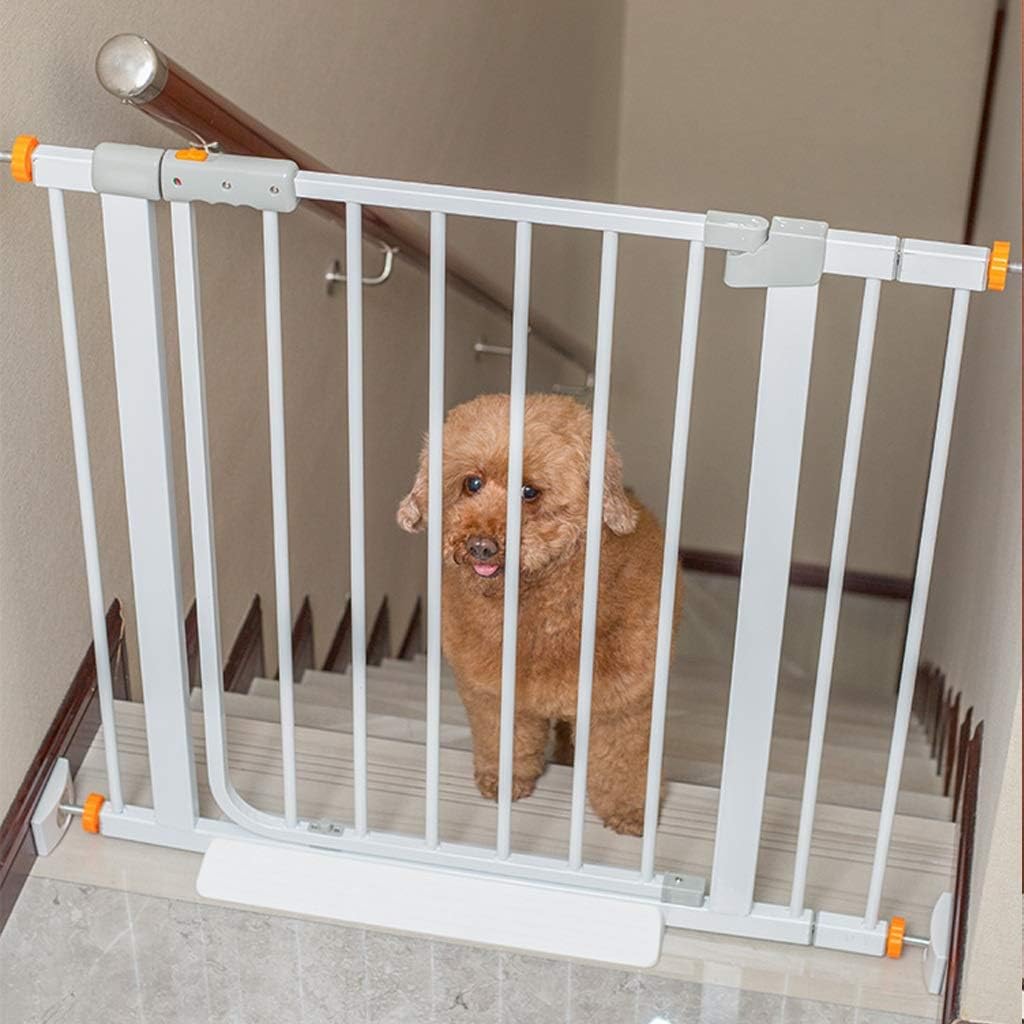 different types of schnauzers