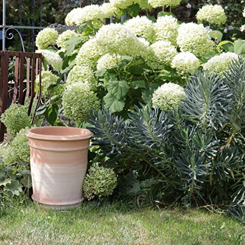 Kreta Keramik frostfester handgefertigter Terracotta Blumentopf, Pflanzkübel, Pflanzgefäß zum Bepflanzen für den Innen… – Bild 6