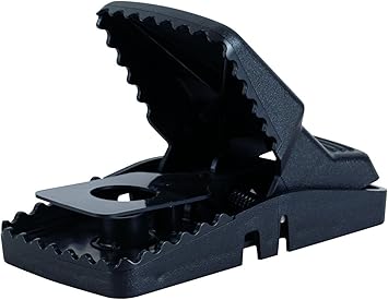 Amazon.com: Tomcat Rat Snap Trap- Pack 