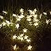 Windpnn Solar String Lights Outdoor, Solar Powered Star Lights, 30ft 50LED 8 Modes Waterproof Christmas String Lights for Gardens Patio Landscape Xmas Tree Decorations(Warm White)