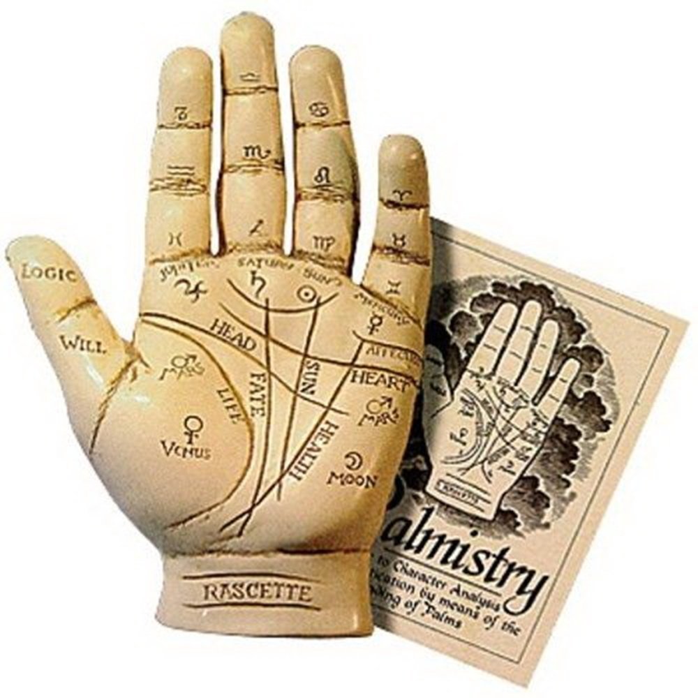 Buy Palmistry Hand Model Resin Sculpture Fortune Telling Palm Reading With Booklet Online At Low Prices In India Amazon In