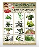 TLC Safety By Design Toxic House Plants Poison for Pets Dogs Cats Emergency ICE Home Alone Refrigerator Magnet (Qty. 1)
