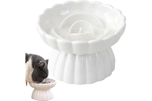 Gonalulu Elevated Ceramic Slow Feed Dish for Cats and Small Dogs, Flower Pool Design Pet Slow Feeder with Higher Edges,Raised Pet Bowl for Dry & Wet Food (White)