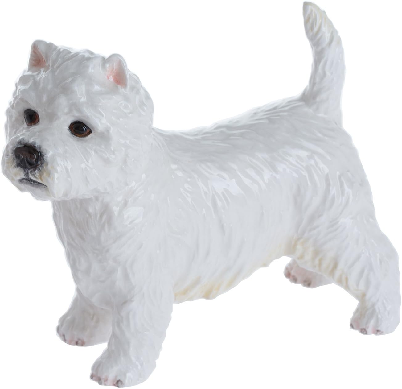 john's sweet west highland terrier puppies