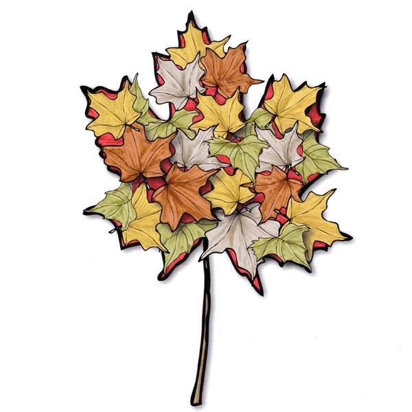 Fall Leaves Lovely Leisure Coloring Book By Paula Parrish