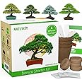 Bonsai Tree Seed Starter Kit - All You Need to Grow 4 Bonsai Trees from Seeds. All-in-One Indoor Outdoor DIY Beginner Grow ki