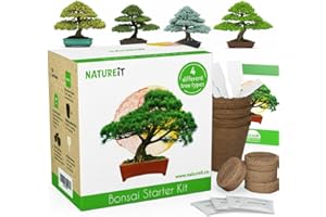 Bonsai Tree Seed Starter Kit - All You Need to Grow 4 Bonsai Trees from Seeds. All-in-One Indoor Outdoor DIY Beginner Grow ki