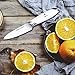 Godmorn Paring Knife Fruit Knife 3.5 Inch Forged Peeling Knife - German Stainless Steel Blade + Straight Edge + Spear Point, White Handle, Paring Fruit Vegetable Skin Peeling Slicing Cutting …