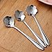 Wenkoni Creative Flower Spoons,Coffee spoons,Stirring Spoons(Set of 8.Color:Silver).