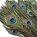 Piokio 100 pcs Natural Peacock Feathers in Bulk 10-12 inch(25-30 cm) Bulk for DIY Craft, Wedding, Mardi Gras Decoration