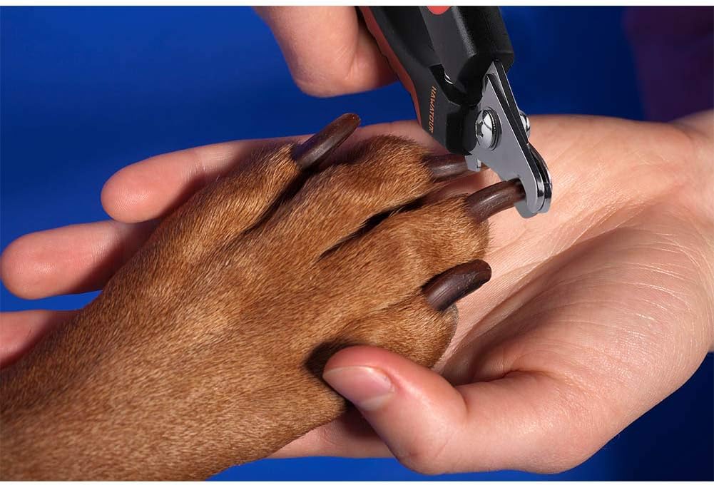 HAWATOUR Dog Nail Clippers, Professional Pet Nail Clipper
