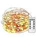 Qedertek Battery Operated Starry String Lights, 33ft 100 LED Firefly Lights with Remote Control, Copper Wire Fairy Lights for Home, Garden, Party, Wedding Decorations(Warm White)