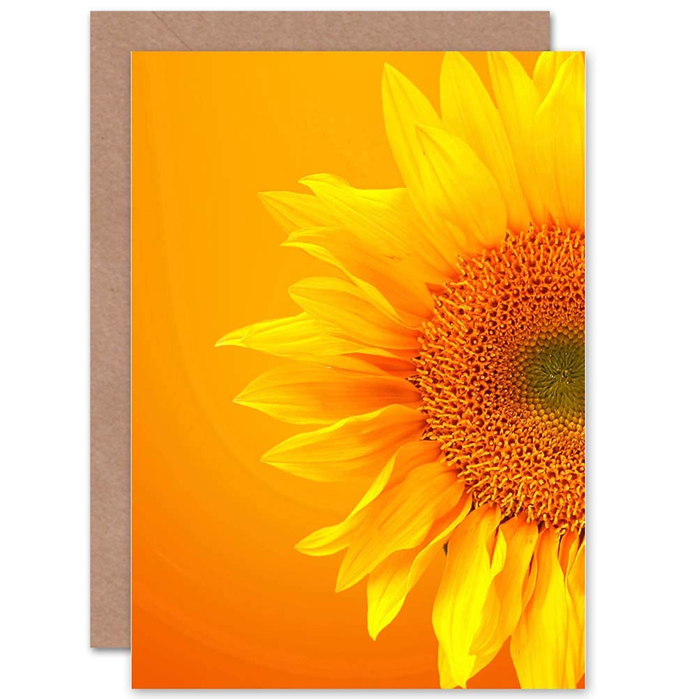 Wee Blue Coo SINGLE SUNFLOWER BLOOM ORANGE YELLOW PHOTO BLANK GREETINGS CARD