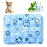 AIIONP Pet Cooling Mat, 2025 New Dog Cooling Mat
