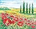 Ravensburger Aquarelle Provence Arts and Crafts Kit
