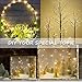 16 Pack 10ft 30 Micro Starry LED String Lights Bulk Waterproof Gold Fairy Lights Battery Operated Indoor Outdoor Mini Firefly Starry Copper Wire for DIY Wedding Party Christmas Halloween Decoration
