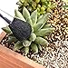 BlueMake 7 Pieces Succulent Plants Tools,Mini Garden Hand Transplanting Succulent Tools Miniature Planting,Set for Indoor Miniature Fairy Garden Plant Care (7pcs Tools Set)thumb 4