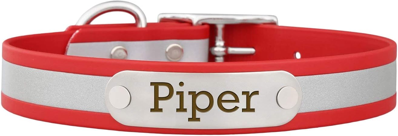 7 month old puppy potty training