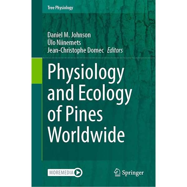 Amazon.com: Physiological Plant Ecology: Ecophysiology and Stress