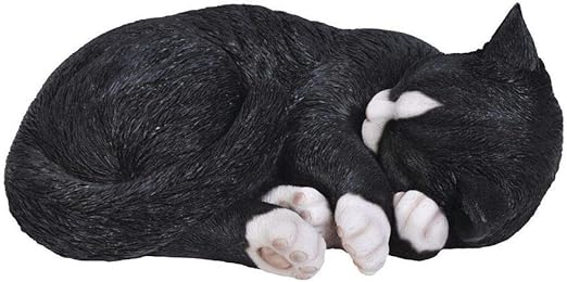 Vivid Arts Real Life Chat Qui Dort Noirblanc Taille B